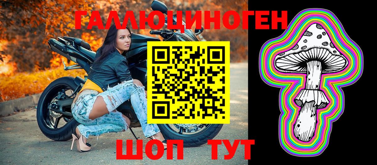 купить наркотики цена  Галлюциногенные грибы Psilocybine cubensis  Кимовск  Вход с VPN  Галлюциногенные грибы Psilocybine cubensis 